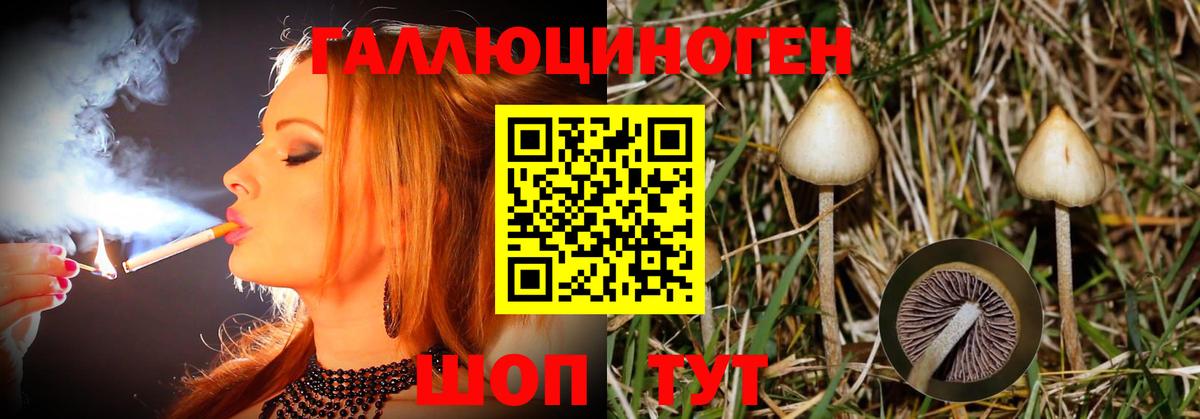 наркота  Галлюциногенные грибы Cubensis  Псилоцибиновые грибы Psilocybe  Вход с VPN  Тольятти 
